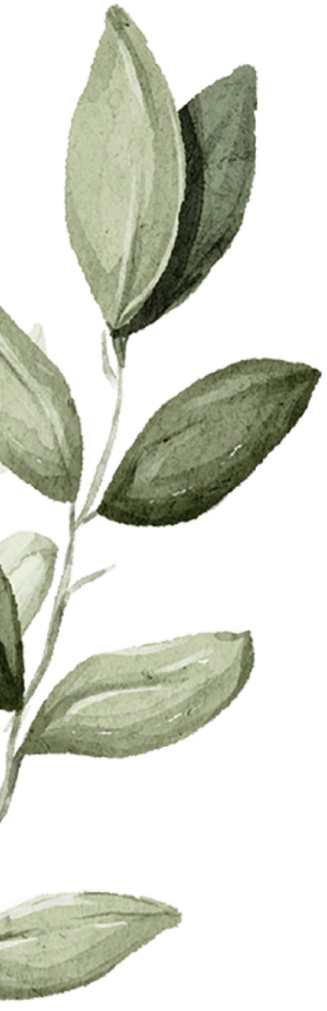 branch-1