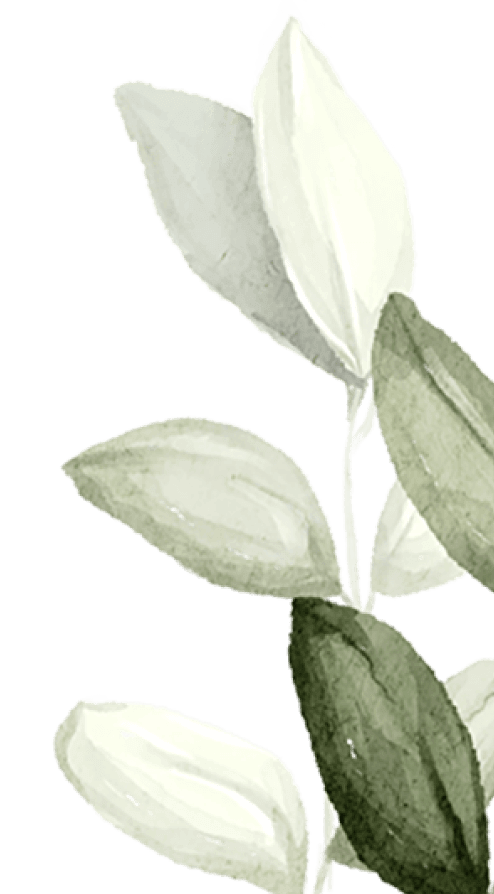 branch-2